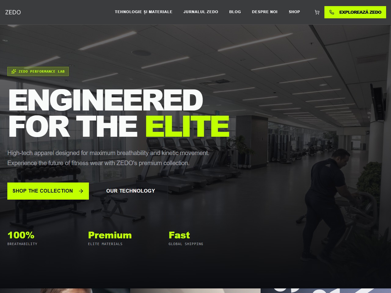 ZEDO — previzualizare website